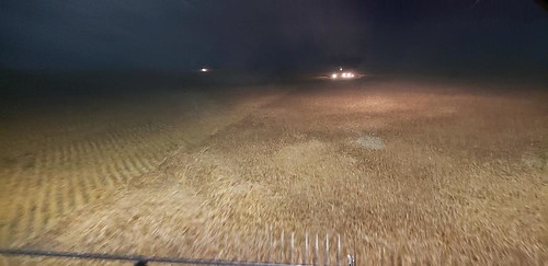 Schemper Harvesting