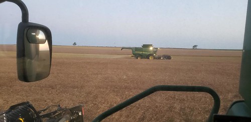 Schemper Harvesting