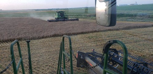 Schemper Harvesting