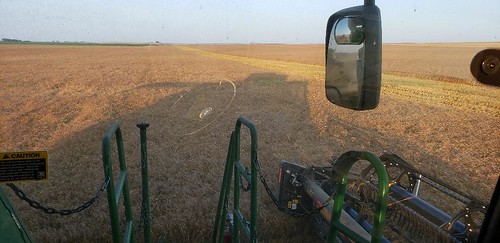 Schemper Harvesting