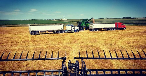 Schemper Harvesting