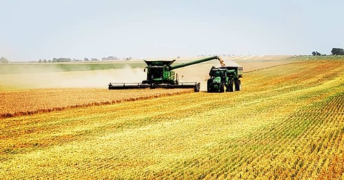 Schemper Harvesting