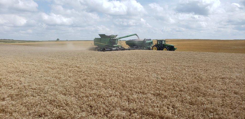 Schemper Harvesting