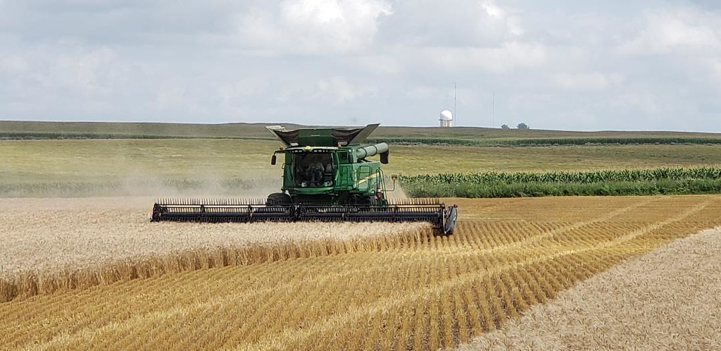 Schemper Harvesting