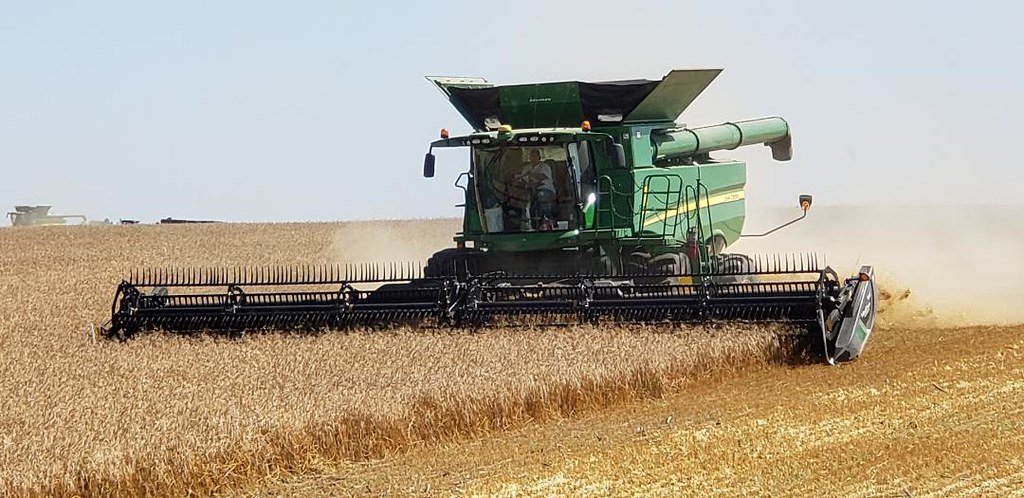 Schemper Harvesting