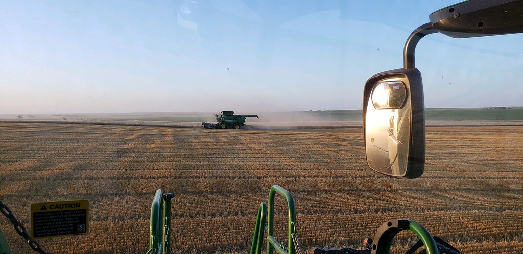 Schemper Harvesting