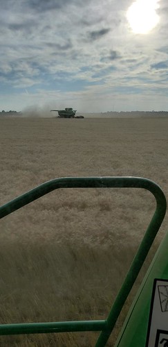 Schemper Harvesting