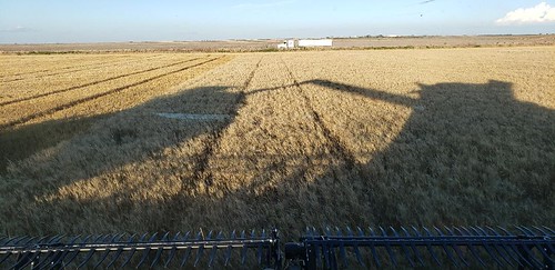Schemper Harvesting