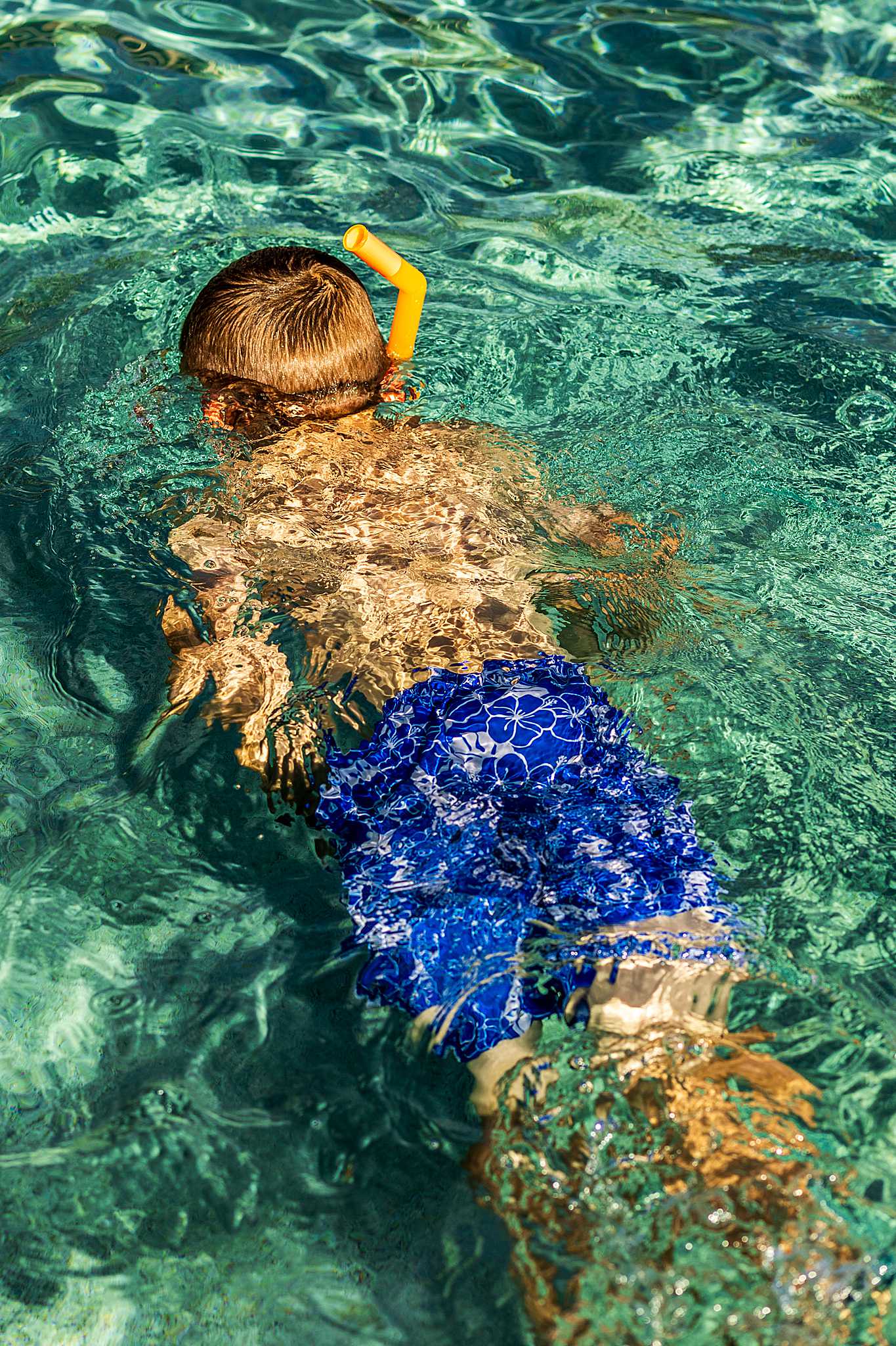 High Plains Harvesting - Swing