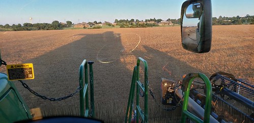 Schemper Harvesting