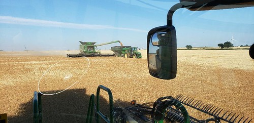 Schemper Harvesting