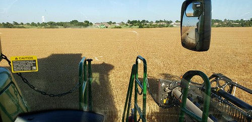 Schemper Harvesting
