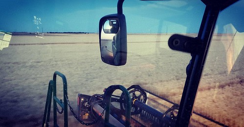 Janel Schemper Harvesting