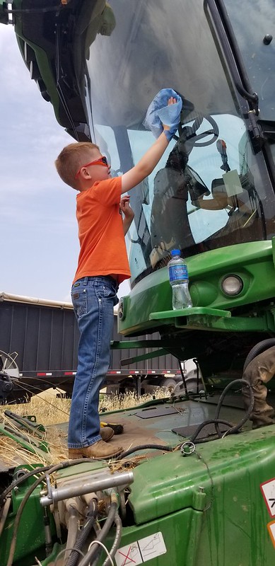 Allison, TX- Our eager window washer!