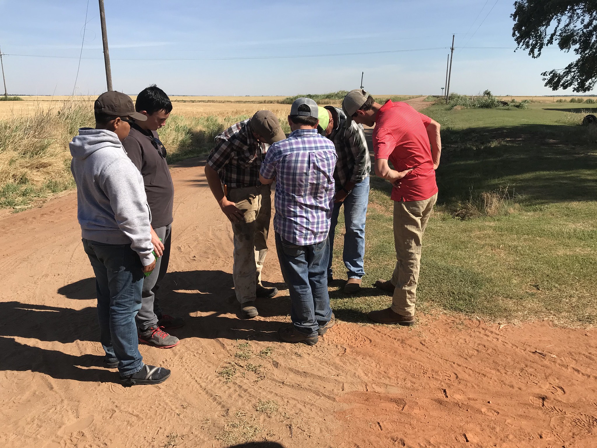 High Plains Harvesting