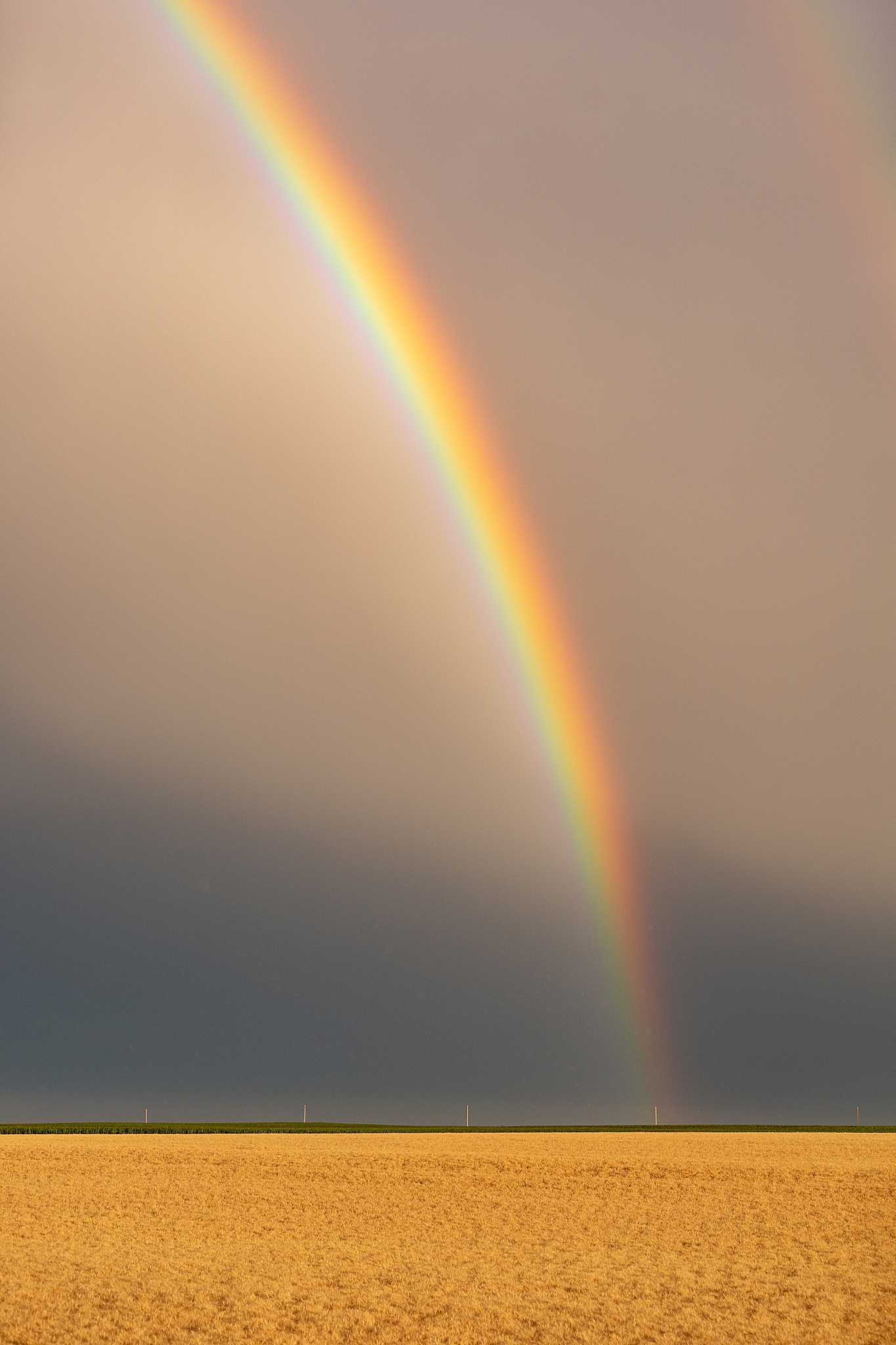 High Plains Harvesting