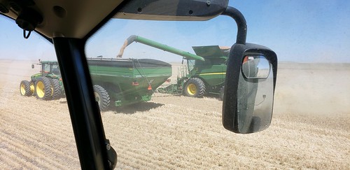 Schemper Harvesting