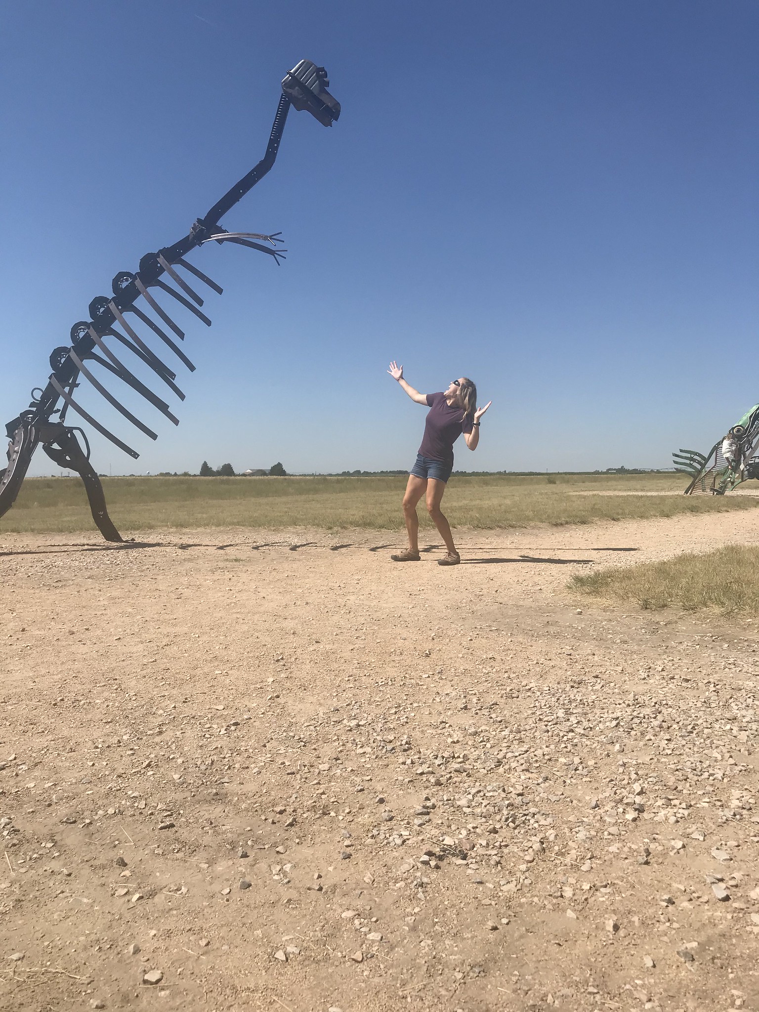 High Plains Harvesting