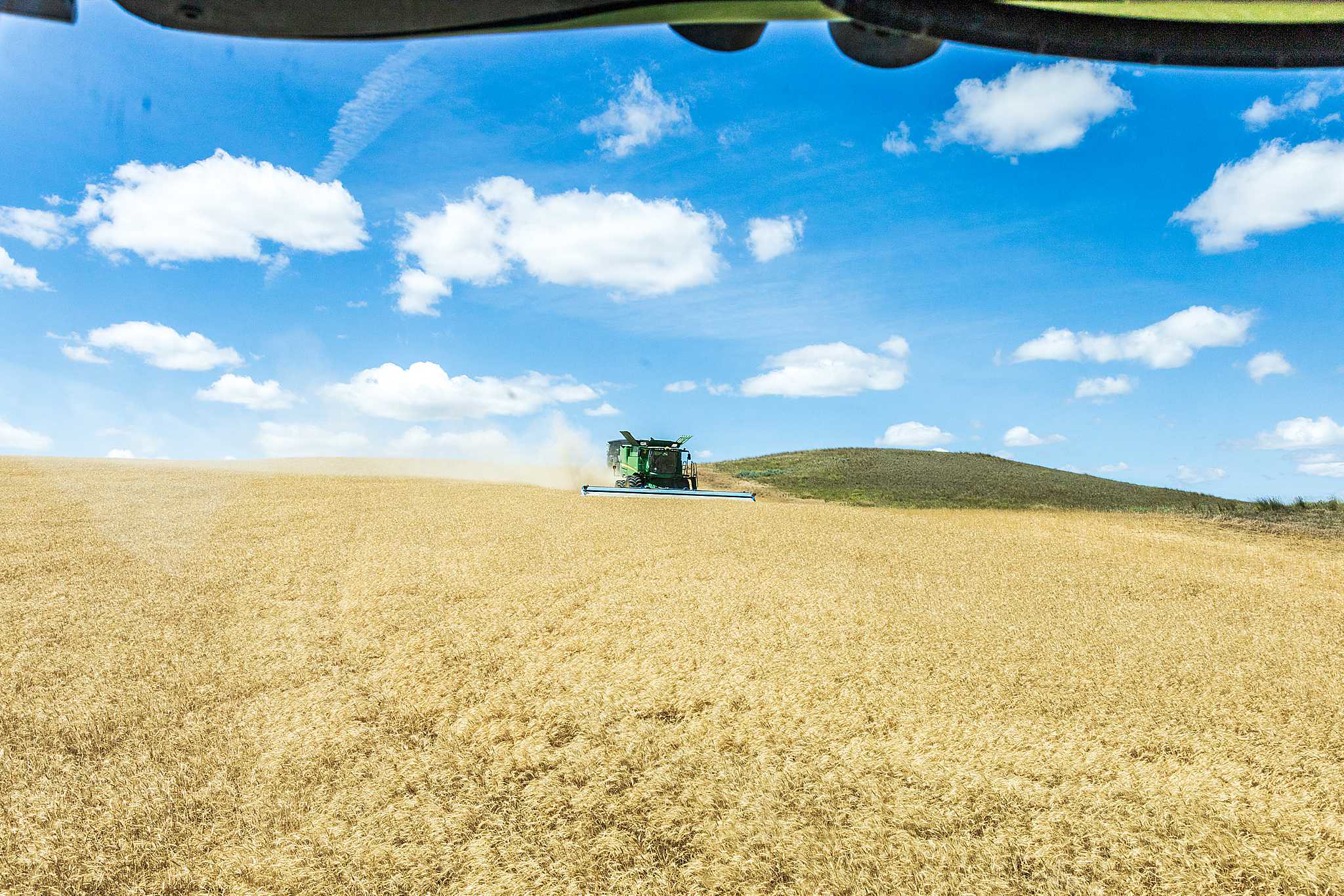 High Plains Harvesting 2020