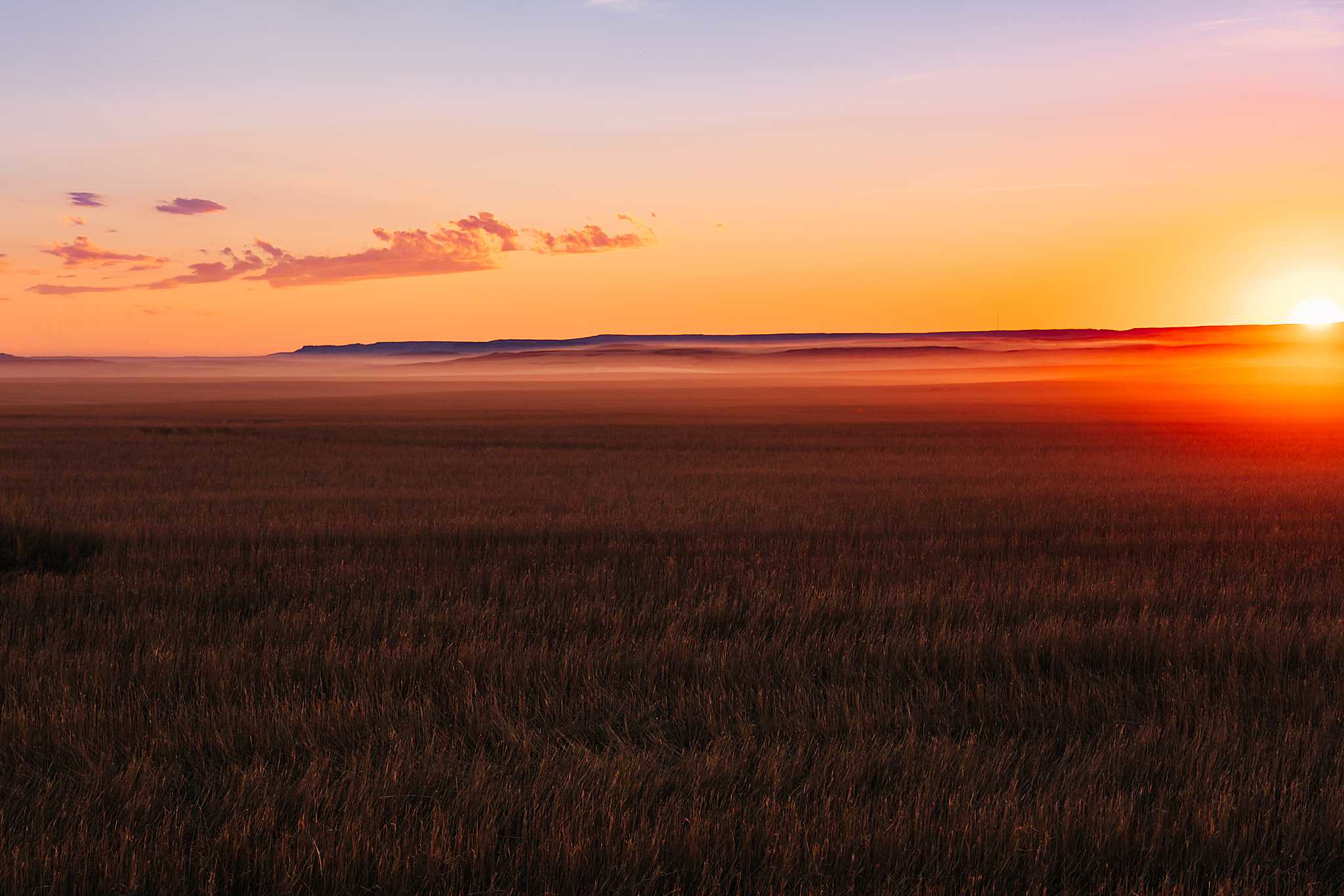 High Plains Harvesting 2020