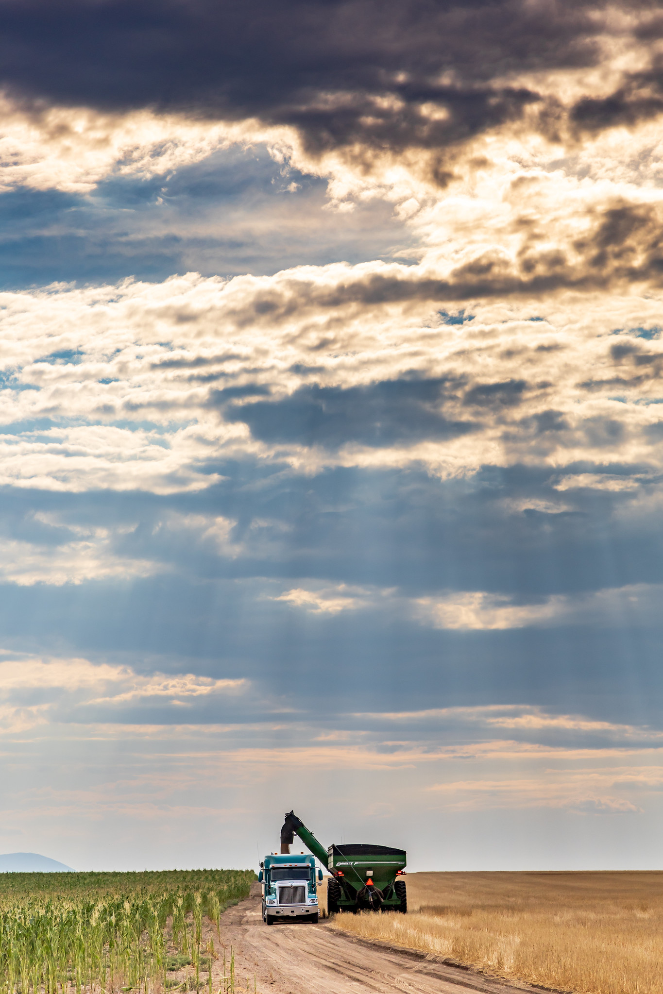 High Plains Harvesting 2020