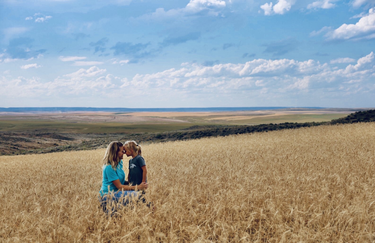 High Plains Harvesting 2020