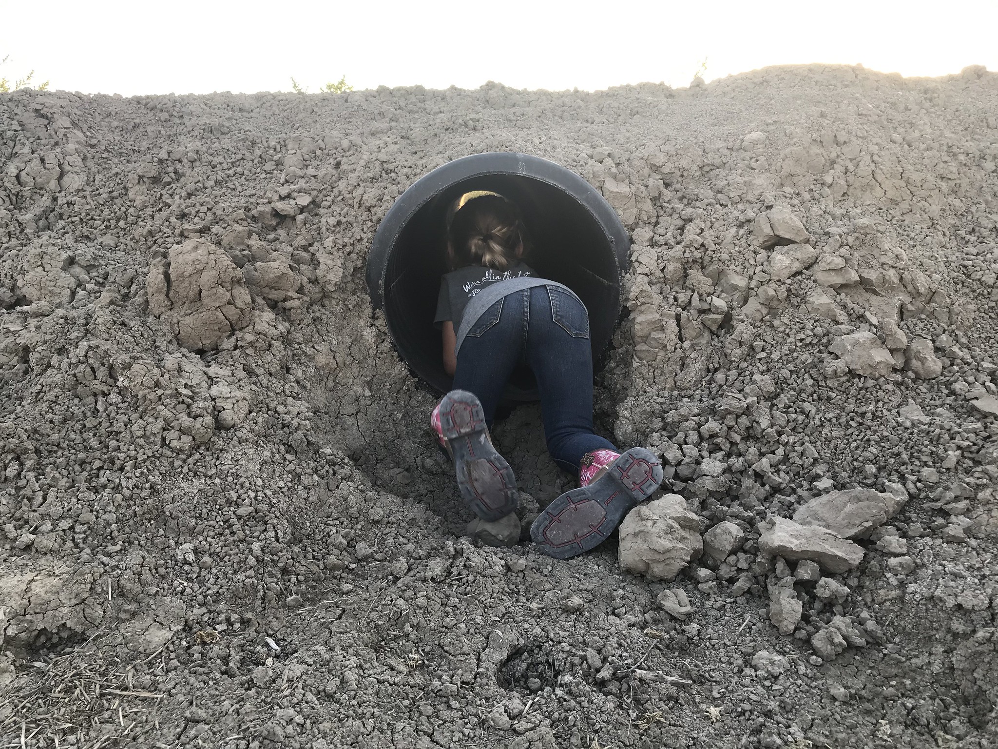 High Plains Harvesting 2020
