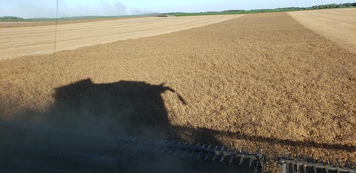 Schemper Harvesting