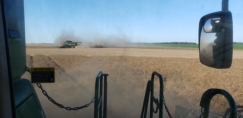 Schemper Harvesting