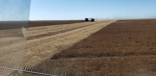 Schemper Harvesting