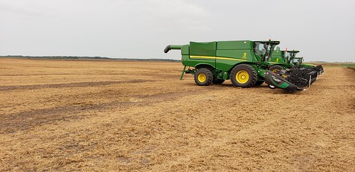Schemper Harvesting