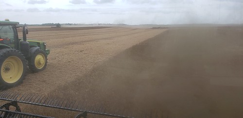 Schemper Harvesting