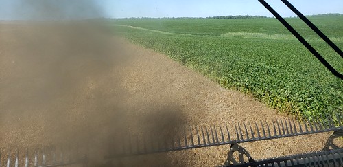 Schemper Harvesting