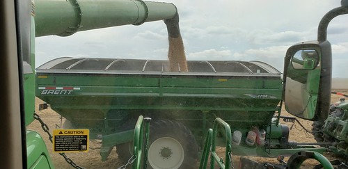 Schemper Harvesting
