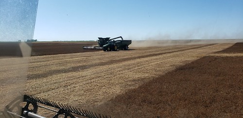 Schemper Harvesting