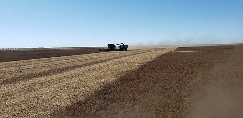 Schemper Harvesting