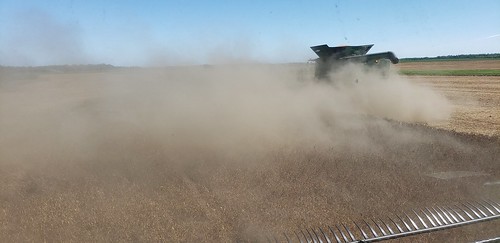 Schemper Harvesting