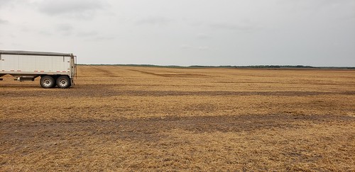 Schemper Harvesting
