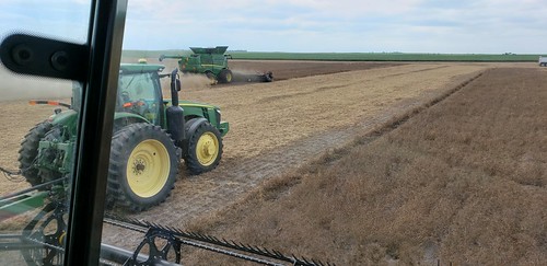 Schemper Harvesting