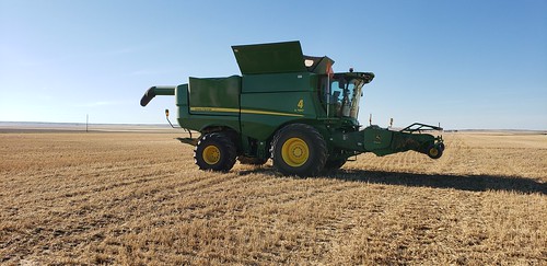 Schemper Harvesting