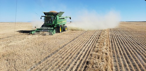 Schemper Harvesting