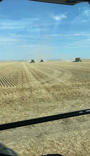 Schemper Harvesting