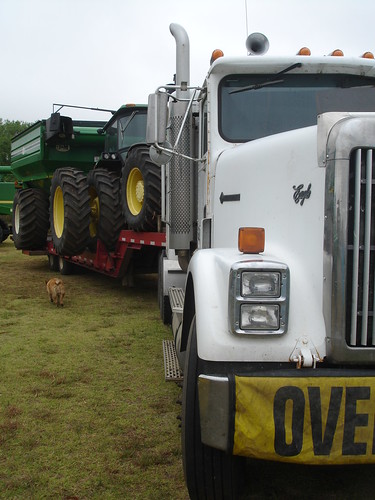 Emma_BeforeHarvestElkCityLoading1