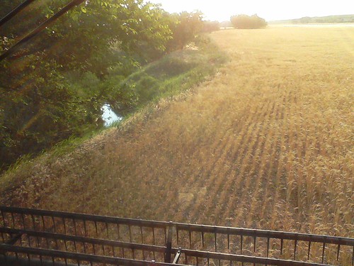 emma_goteboharvesting