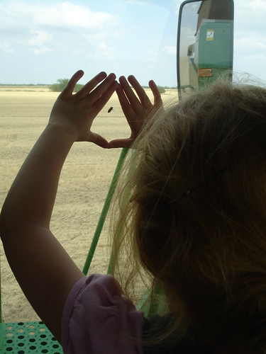 emma_goteboelizabethbug