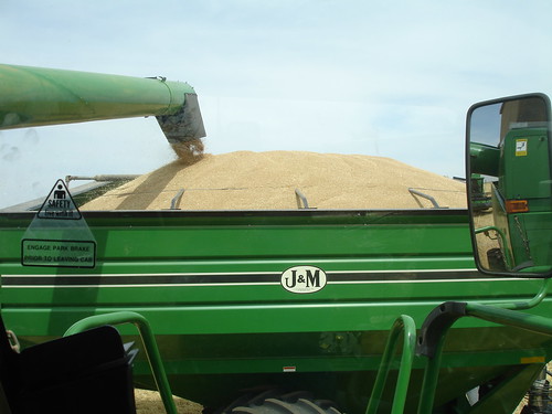 emma_gotebounloading