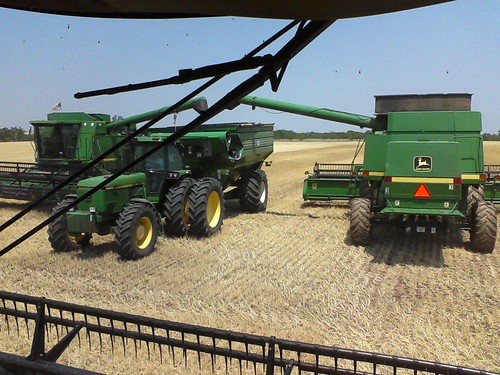 emma_gotebounloading