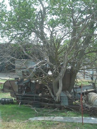 emma_gotebooldcombine