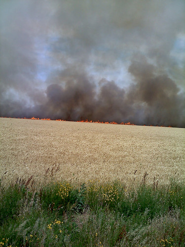A fire in a wheat field near Cherokee, OK