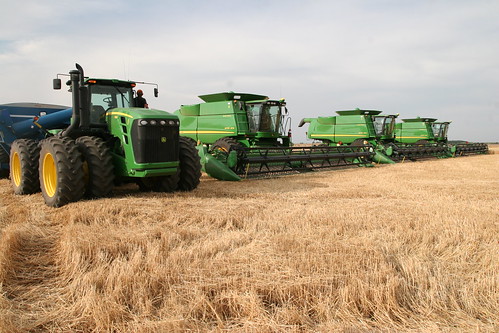 Lined up and unable to cut- too wet.